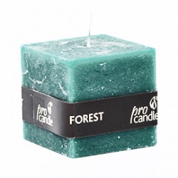 Bougie parfumée ProCandle 791013 / cube / odeur de la forêt
