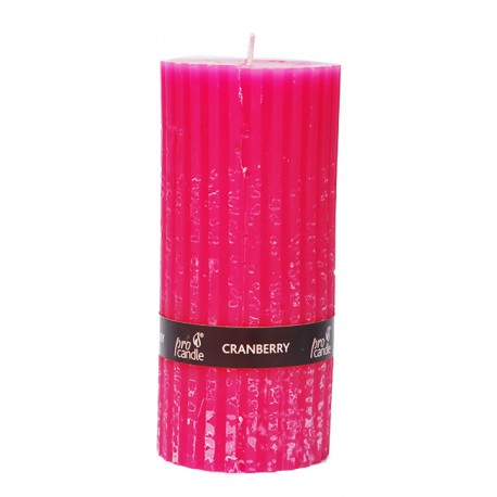 Scented candle ProCandle EJ1811 / roller / cranberry