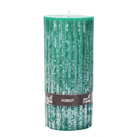 Scented candle ProCandle EJ1813 / roller / smell of the forest
