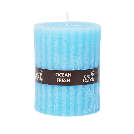 Scented candle ProCandle EJ1707 / roller /  sea