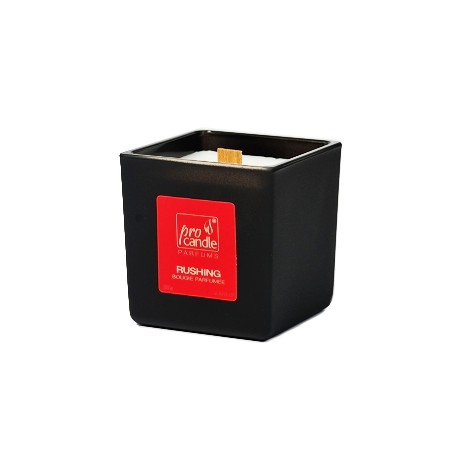 Scented Soy Candle ProCandle 110416 / Eco / Rushing