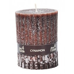 Świeca zapachowa Pro-Candle EJ1706 / walec / cynamon