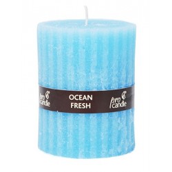 Scented candle Pro-Candle EJ1707 / roller / sea